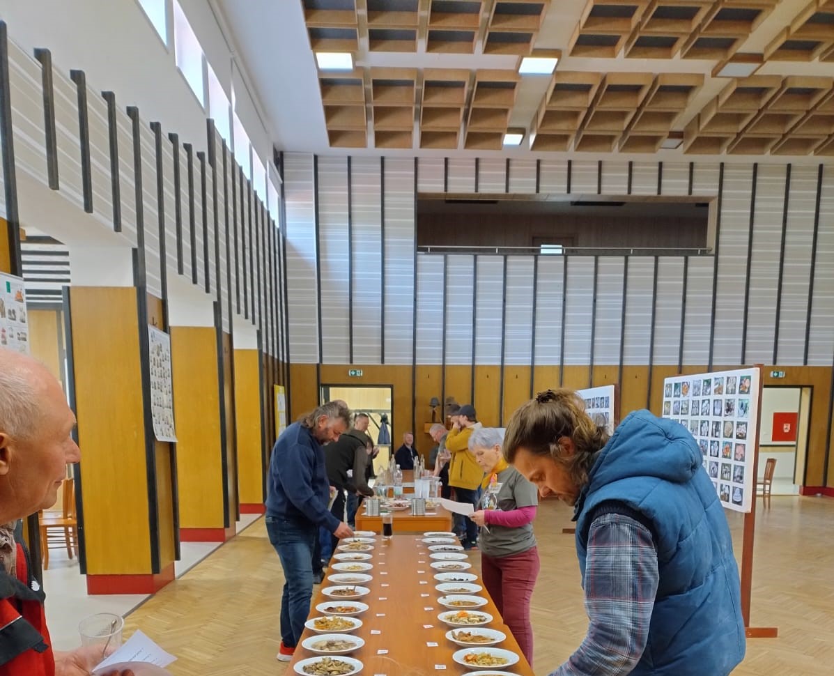 vstupte do galerie - Francovolhotský kyseláč – 5.4.2025
