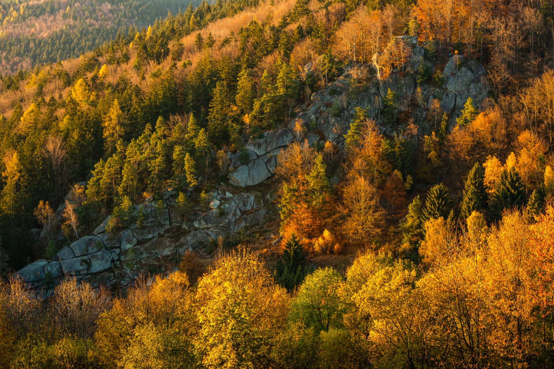 Pulčínské skály