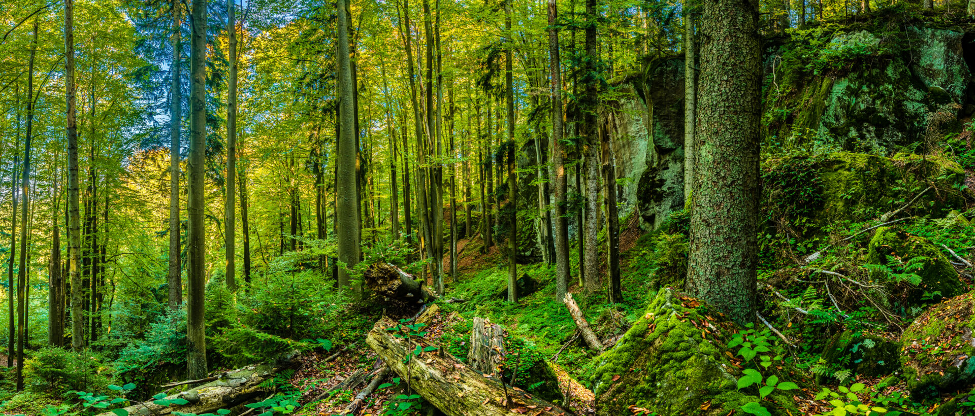 NPR Pulčín hradisko skalní město
